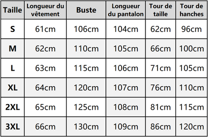 ⏳Spécial à durée limitée⏰Élégant zip Set de deux pièces pour femmes🌸